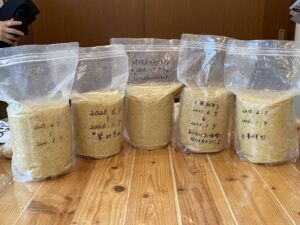 味噌レッスンで作った味噌です
